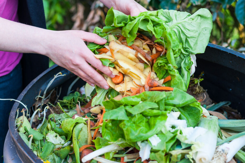 composting potato peels, carrots, and lettuce